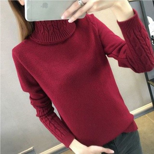 Turtleneck Pullovers
-Long Sleeves
-Thick Warm