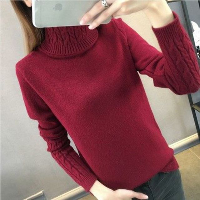 Turtleneck Pullovers
-Long Sleeves 
-Thick Warm