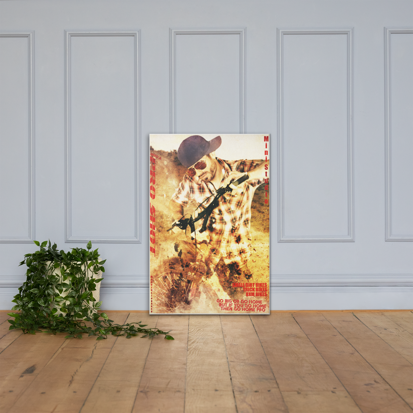 BMX-Jaje,01 canvas print